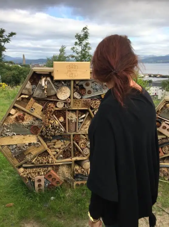 hexagonal-bug-hotel-.jpg