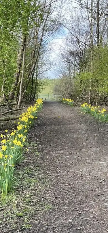 Thumbnail 9D311945 4617 4A6d A1f1 Bb83c16b738a