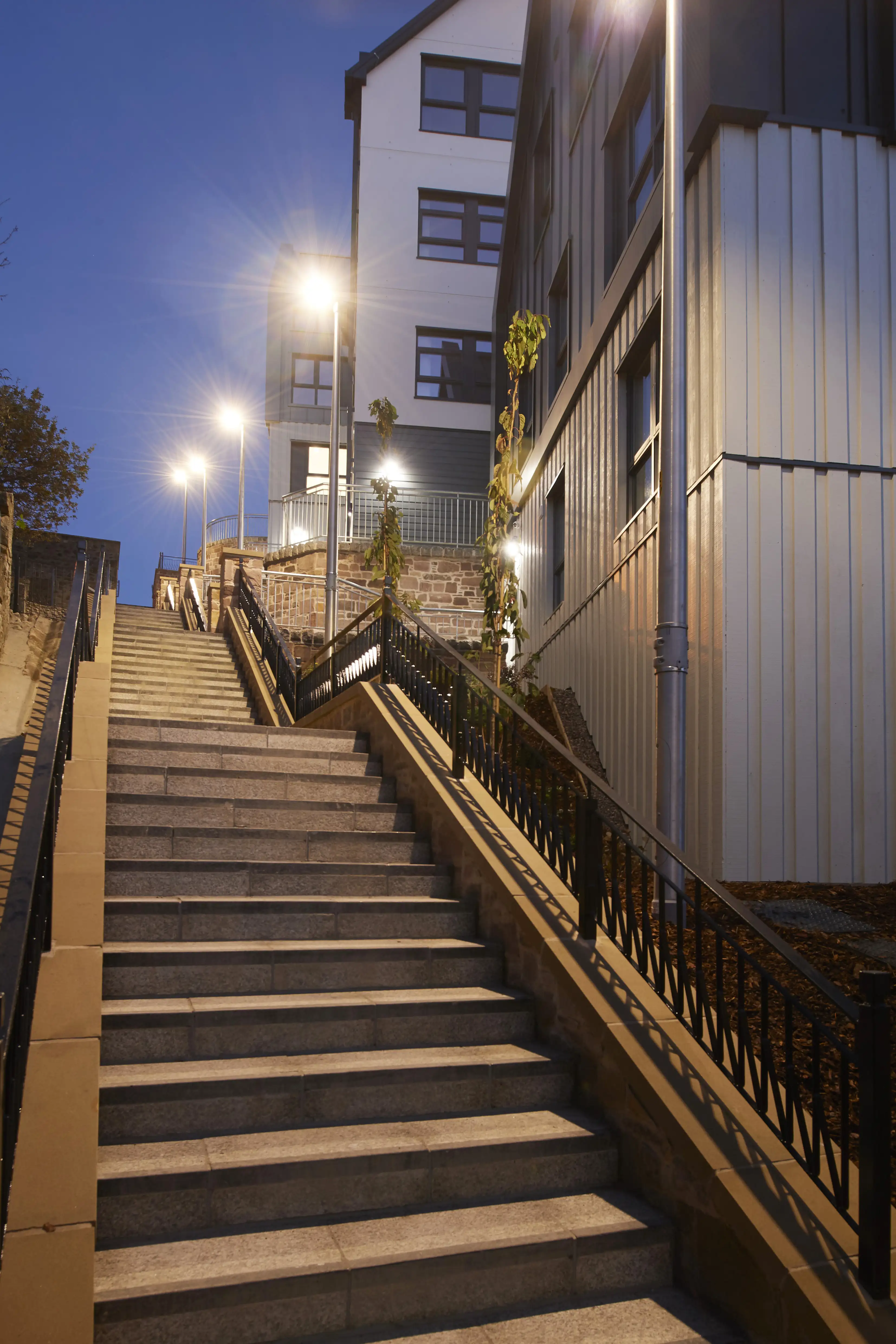 190218_trail_architects_rainings_stairs_005.jpg