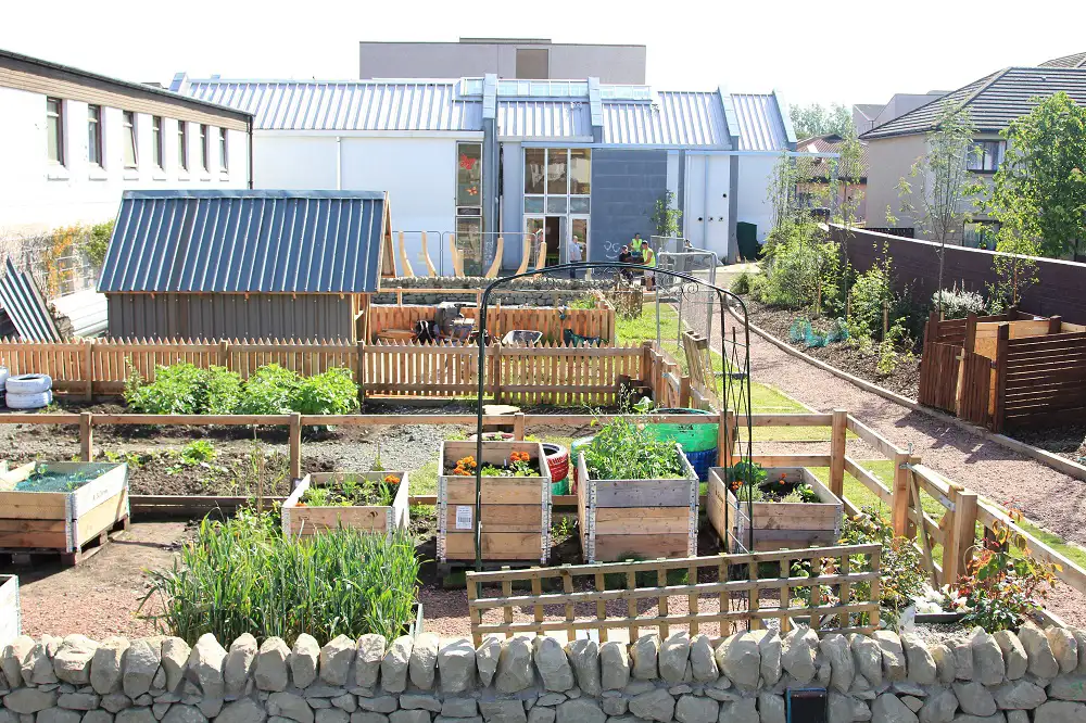 North Edinburgh Grows Image 2 Garden Looking Towards North Edinburgh Arts