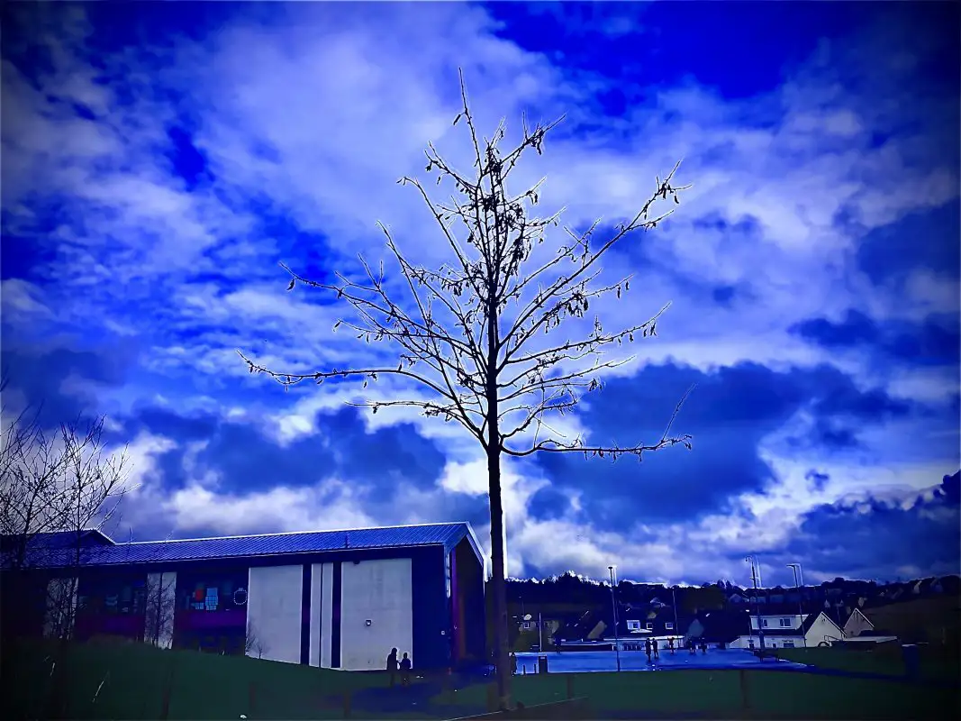 Lewis R, Tollbrae Primary School