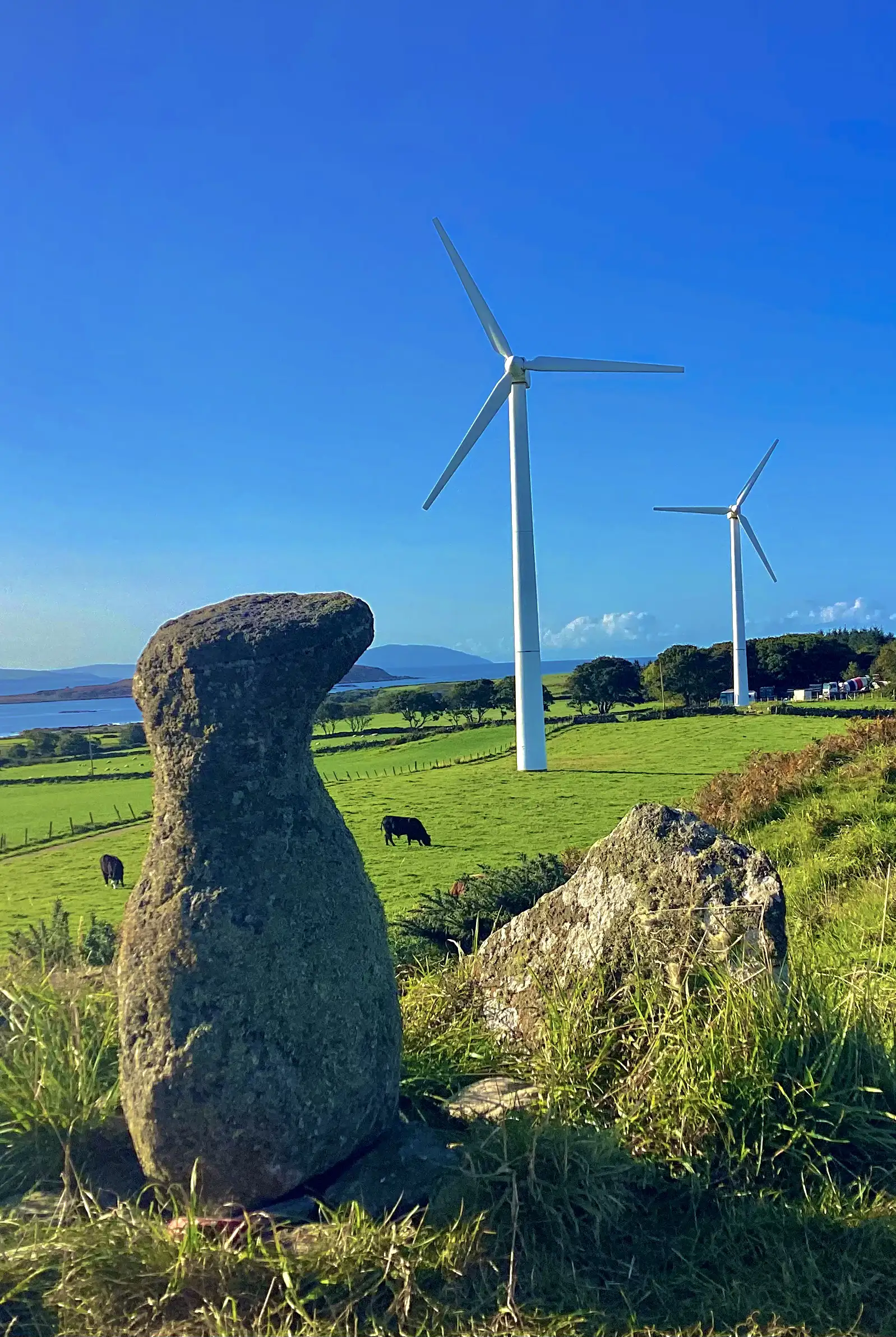 WINNERSydneyV, Gigha Primary School